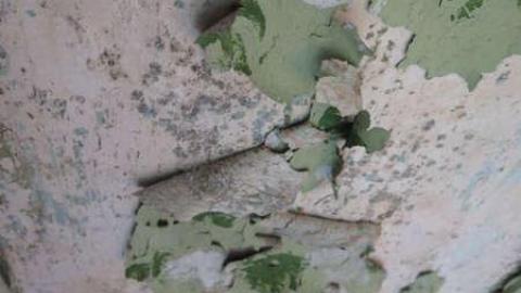 Photo from Love Thy Neighbor 