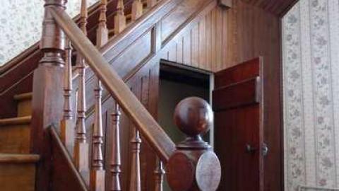 March 2014 - Mountain-Maple111.jpg