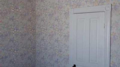 March 2014 - Mountain-Maple112.jpg