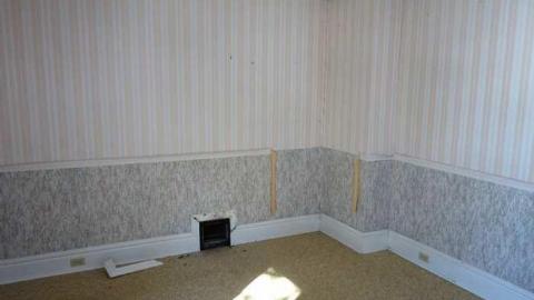 March 2014 - Mountain-Maple113.jpg