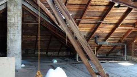 March 2014 - Mountain-Maple36.jpg