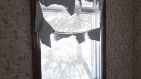 March 2014 - Mountain-Maple47.jpg