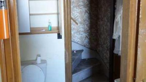 March 2014 - Mountain-Maple118.jpg