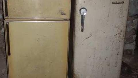 March 2014 - Mountain-Maple119.jpg