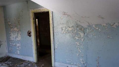 Photo from March 2014