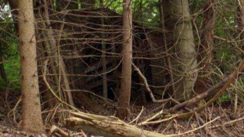 Major Fun - Glen-Major-(semighost-town)3.jpg