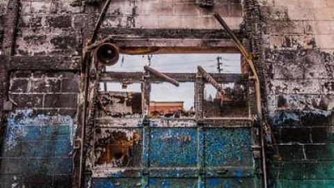 Roasted  - Fruit-Fire75.jpg