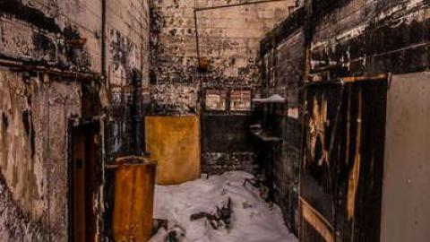 Roasted  - Fruit-Fire55.jpg