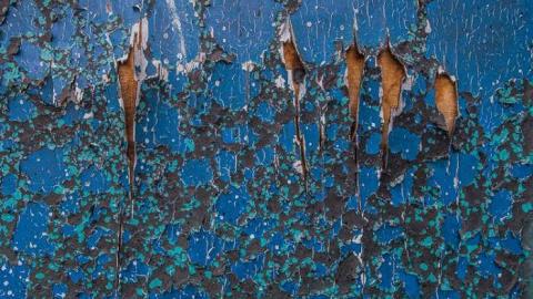 Roasted  - Fruit-Fire79.jpg