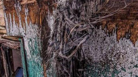 Roasted  - Fruit-Fire46.jpg