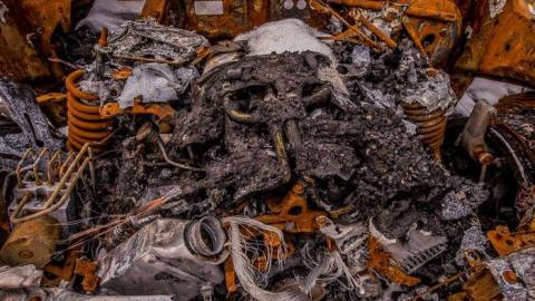 Roasted  - Fruit-Fire83.jpg