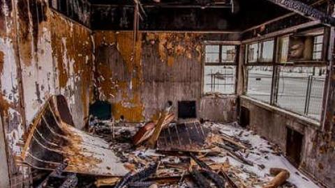 Roasted  - Fruit-Fire62.jpg