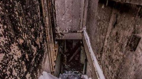 Roasted  - Fruit-Fire63.jpg