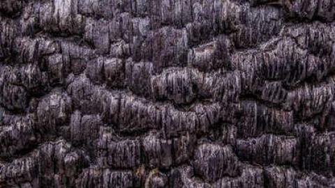 Roasted  - Fruit-Fire64.jpg