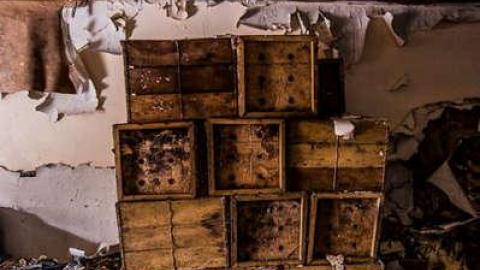 Roasted  - Fruit-Fire67.jpg