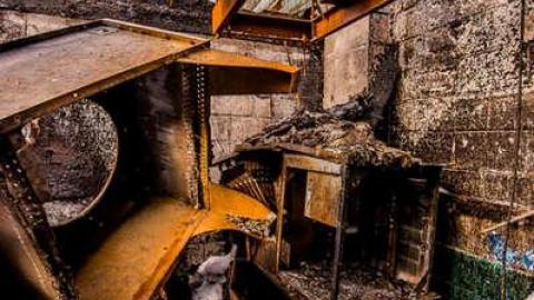 Roasted  - Fruit-Fire2.jpg