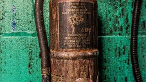 Roasted  - Fruit-Fire71.jpg