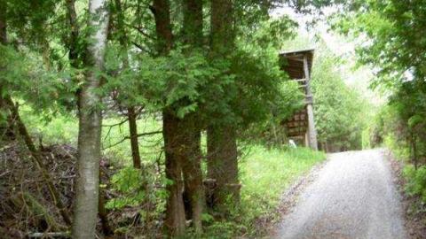 Glen Major (semi-ghost town) cover photo