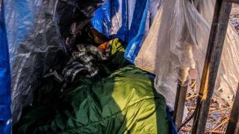 Eskimo Immigration photo 5