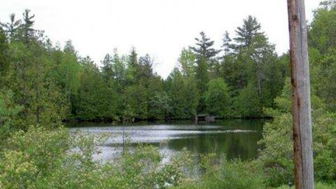 Major Fun - Glen-Major-(semighost-town)5.jpg