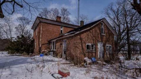 Too Much Too Handle - Mother in the Eyes-8786.jpg