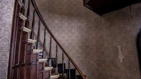 Too Much Too Handle - Mother in the Eyes-8781.jpg