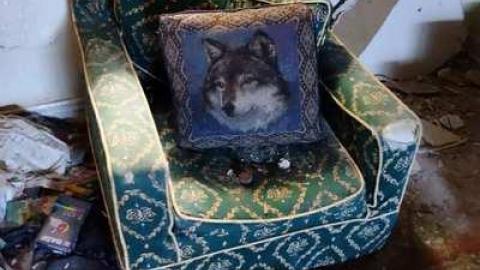 March 2014 - Unlucky-764.jpg