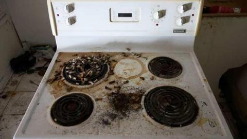 March 2014 - Unlucky-713.jpg