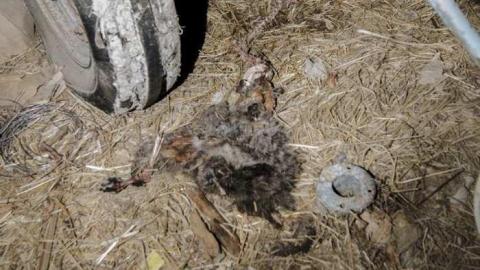 Barn - Thedford-House7.jpg