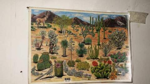 March 2014 - DSC02912.jpg