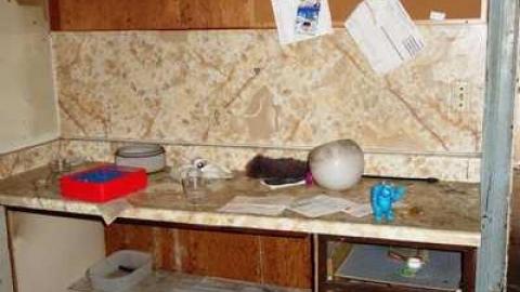 March 2014 - DSC02942.jpg