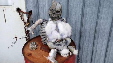 March 2014 - DSC02962.jpg