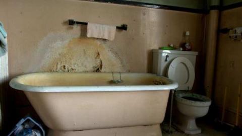 Feels - DSC_3617 -1.jpg