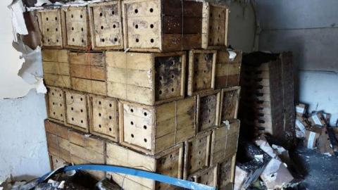 March 2014 - Fruit-Fire29.jpg