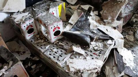 March 2014 - Fruit-Fire30.jpg