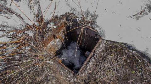 Ringing in my head. - We-Love-Cars7.jpg