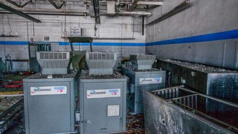 Ringing in my head. - We-Love-Cars12.jpg