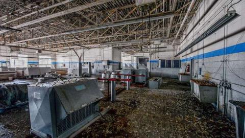 Ringing in my head. - We-Love-Cars14.jpg