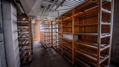 Ringing in my head. - We-Love-Cars20.jpg