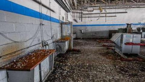 Ringing in my head. - We-Love-Cars21.jpg