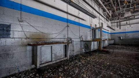 Ringing in my head. - We-Love-Cars22.jpg