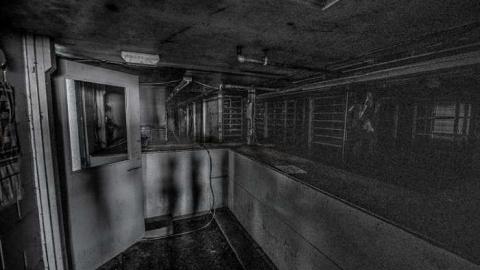 Ringing in my head. - We-Love-Cars25.jpg