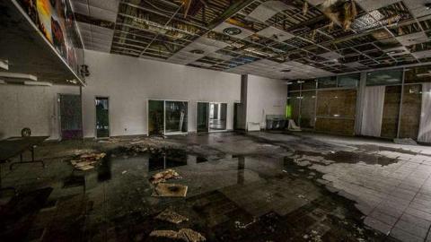 Ringing in my head. - We-Love-Cars27.jpg