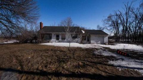 Volpe's Veggies - Squatter-House9.jpg