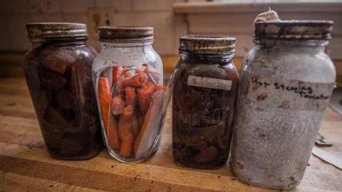 Volpe's Veggies - Squatter-House13.jpg