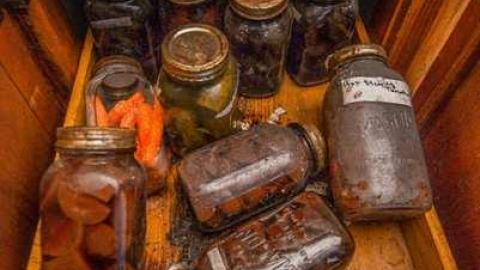 Volpe's Veggies - Squatter-House14.jpg