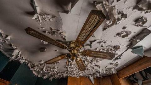 Volpe's Veggies - Squatter-House4.jpg