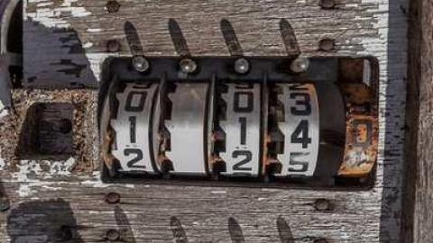 Volpe's Veggies - Squatter-House17.jpg