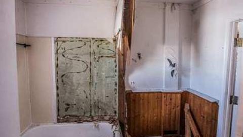 Still the Same - Tremaine Red-8902.jpg