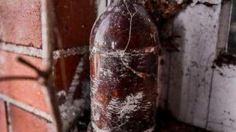 Anybody seen the Bridge? - Tremaine II-8952.jpg